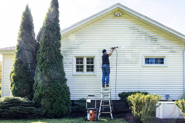 Best Best Pressure Washing Companies  in Port Edwards, WI